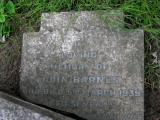 image of grave number 681106